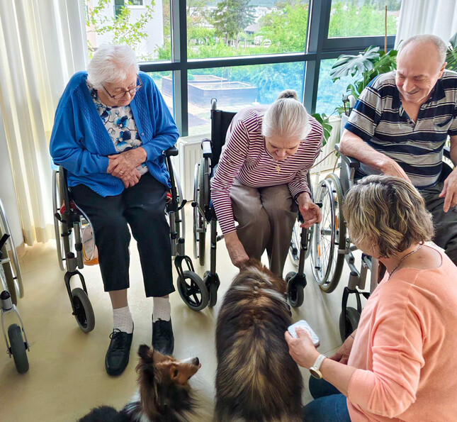 Bewohnerinnen und Bewohner in Rollstühlen streicheln Therapiehunde.